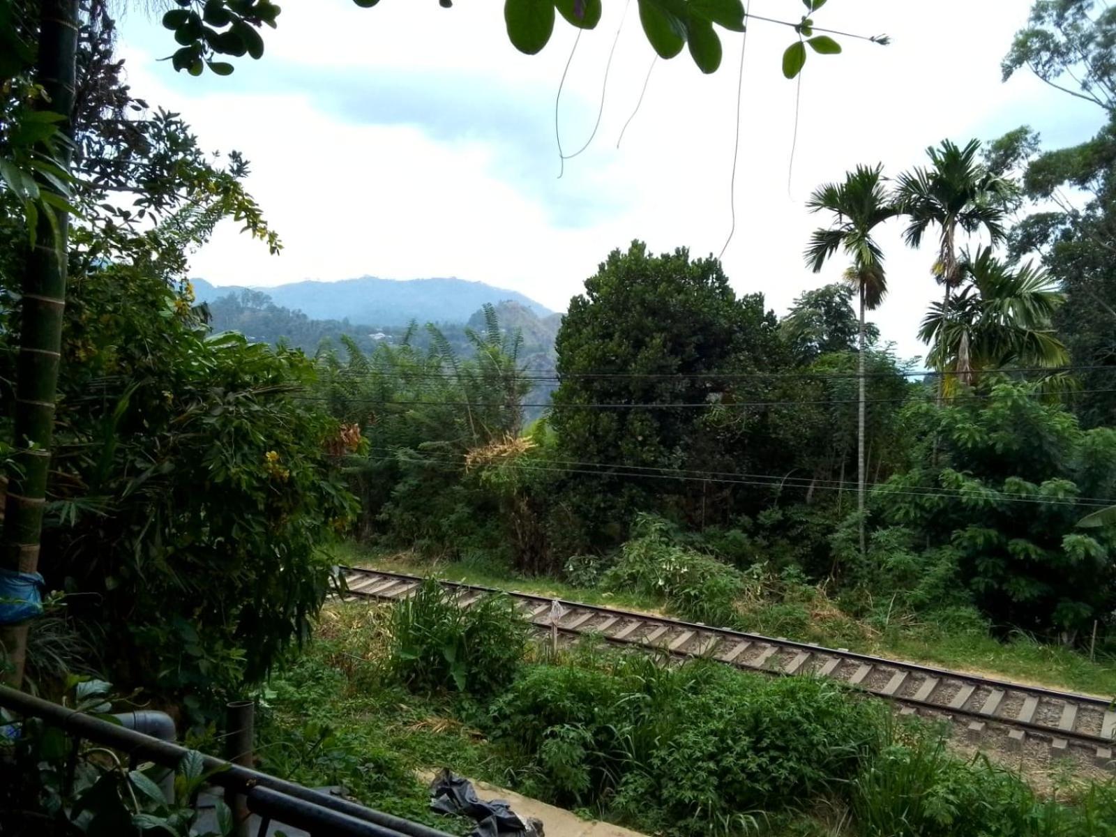 Charming View Homestay Ella Exterior foto