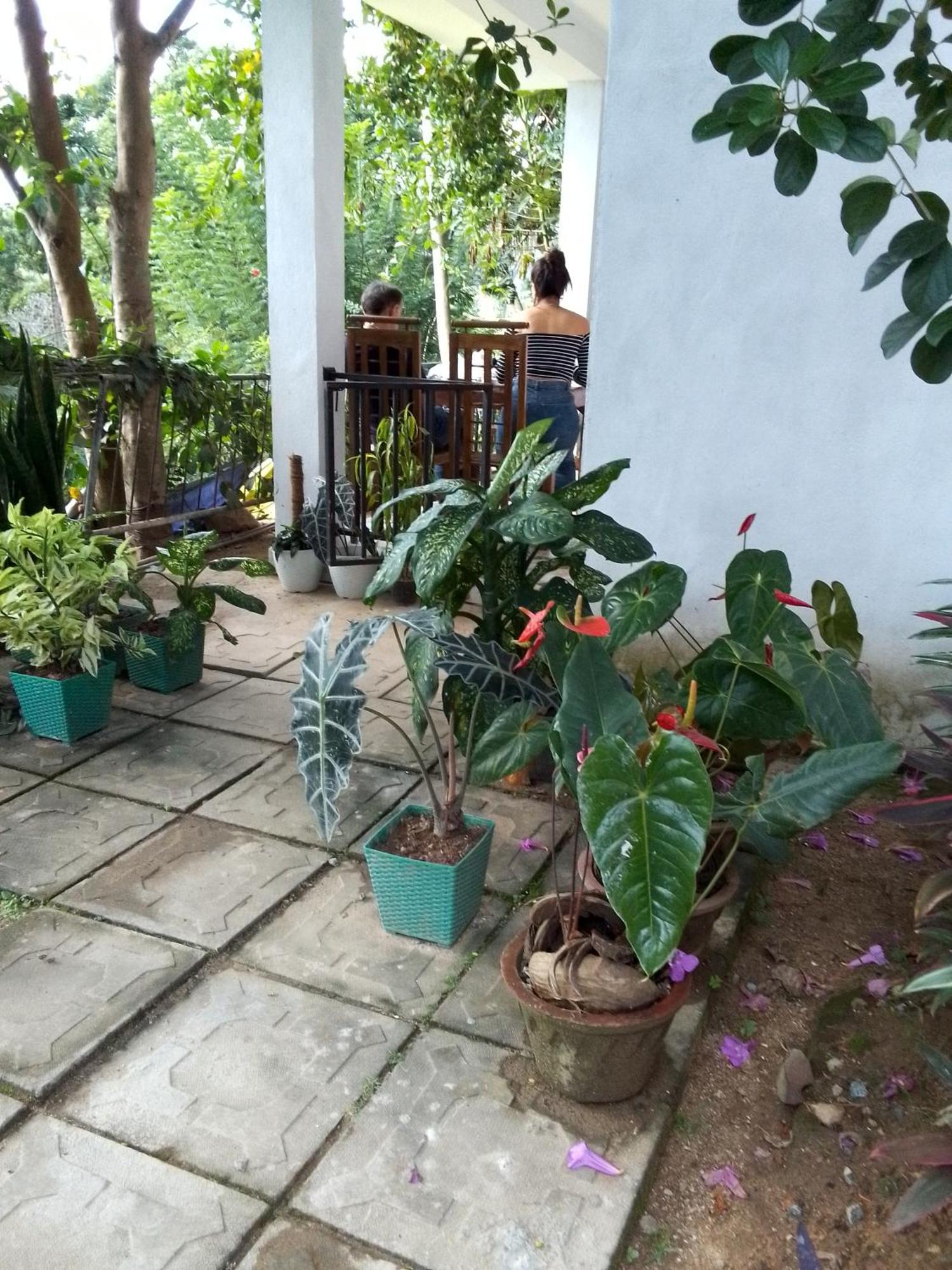 Charming View Homestay Ella Quarto foto